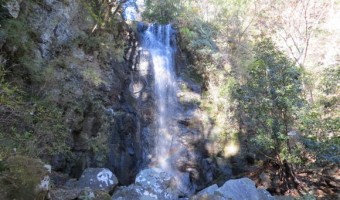 神奈川県・湯河原「白雲の滝」を観光!険しい道中の先にある結構ハードな滝