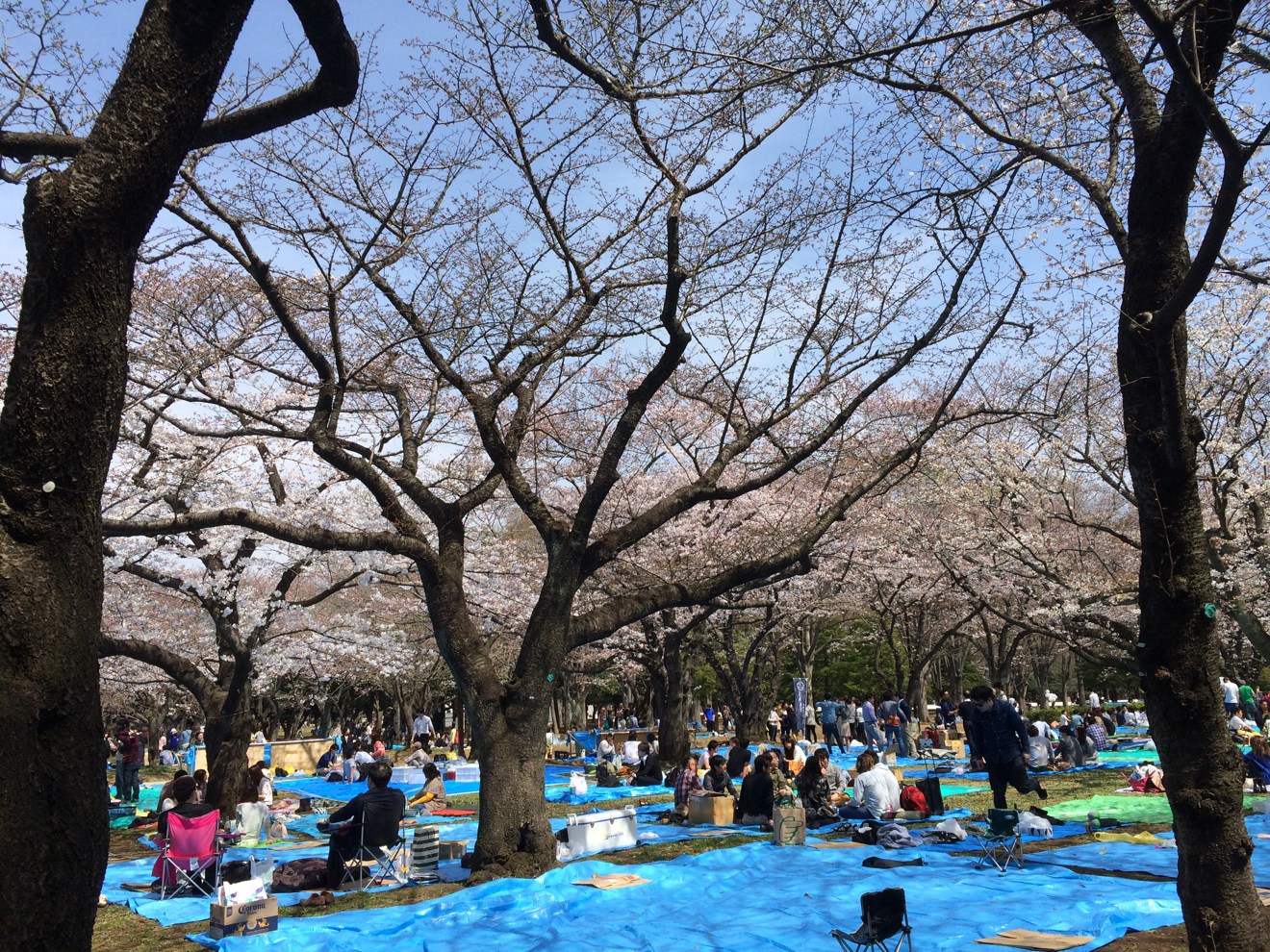 代々木公園