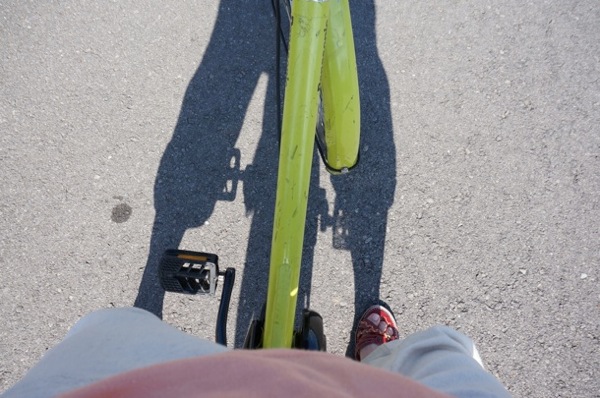 kohamajima01.jpg 電動自転車