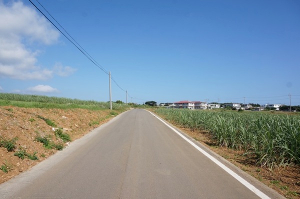 kohamajima05.jpg 小浜島
