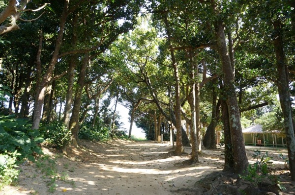 kohamajima08.jpg トンネルを抜け…