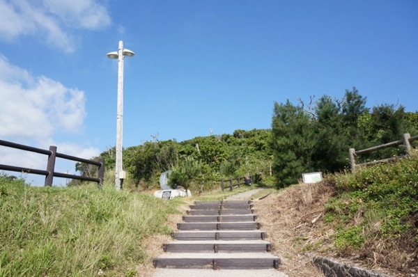 kohamajima10.jpg 到着!