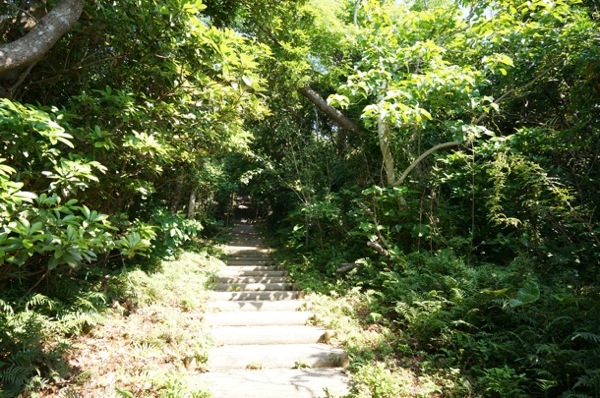 kohamajima11.jpg Kohamajima11