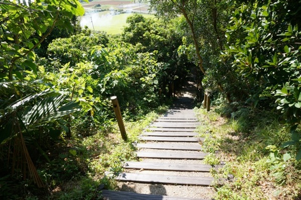 kohamajima12.jpg 登ってきた階段