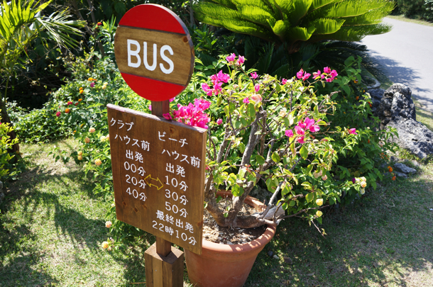 バス バス