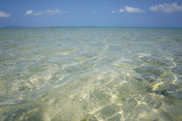 透き通る海! 透き通る海!
