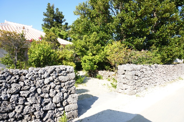 竹富島の町並み 竹富島の町並み