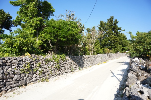 竹富島の町並み 竹富島 町並み