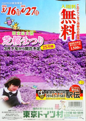 チラシ
