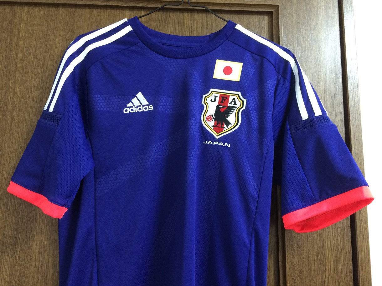 2014年 ブラジルW杯