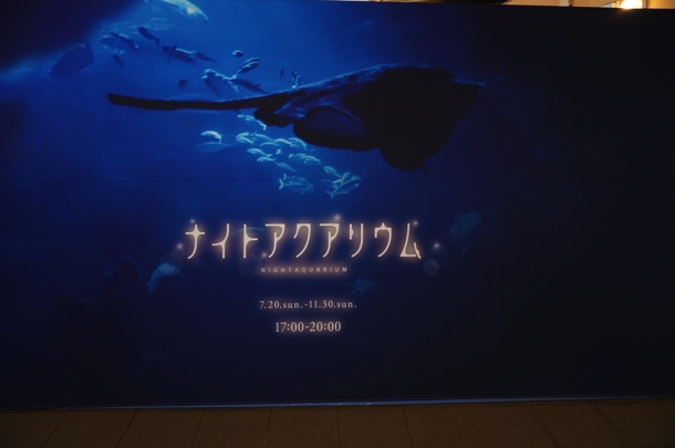 ナイトアクアリウム