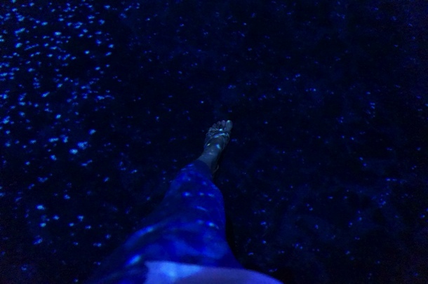 新江ノ島水族館