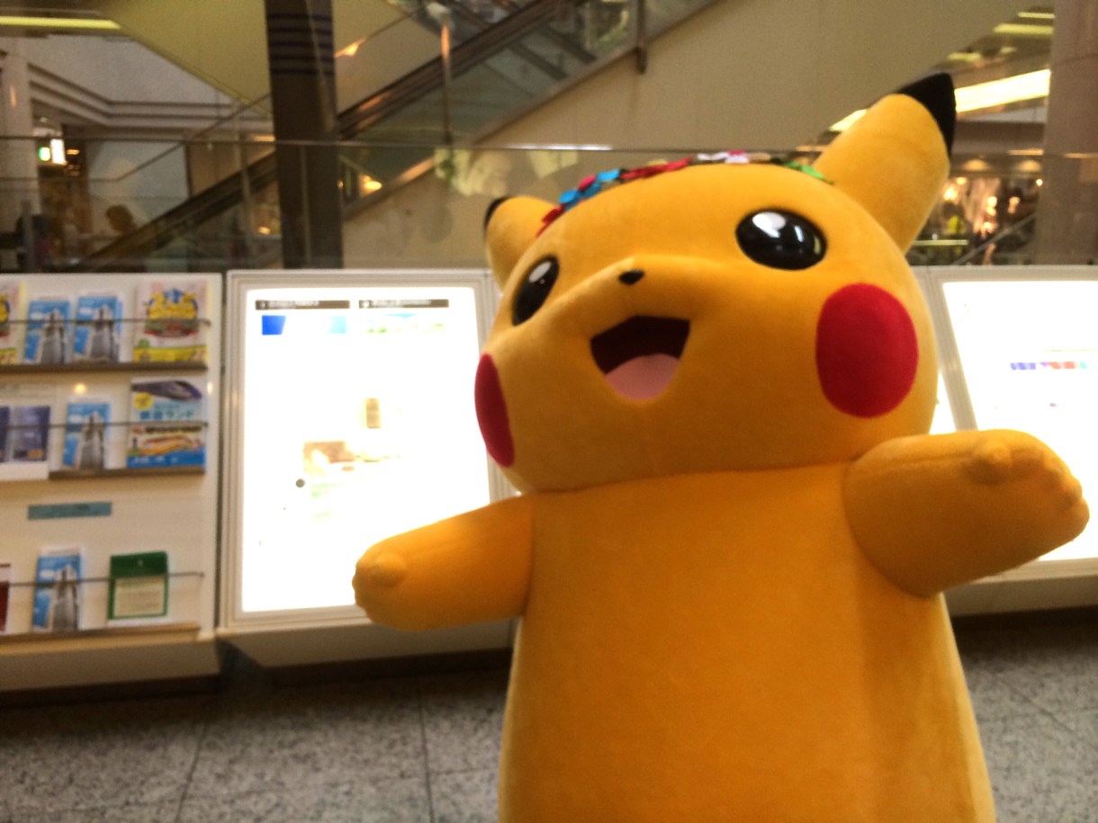 ピカチュウポーズ