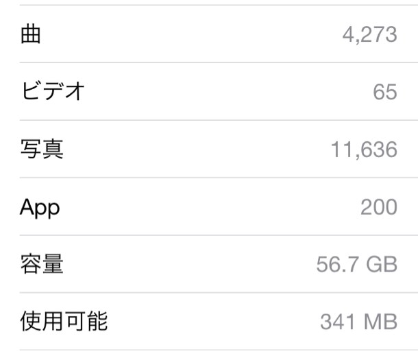 iPhone 写真
