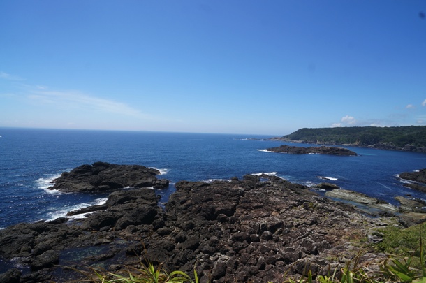 海