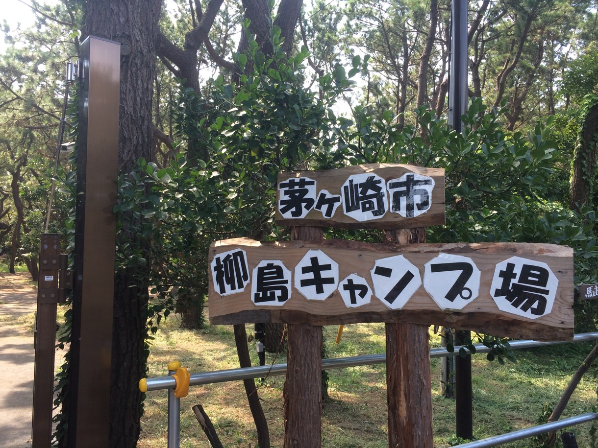 柳島キャンプ場