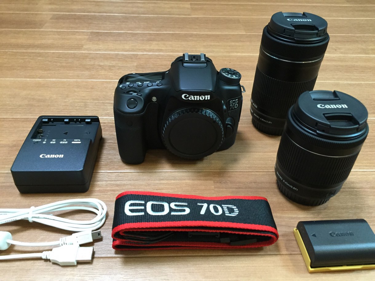 [Å] 大磯城山公園の紅葉ライトアップ！カメラ初心者でもSONY NEX5Rで綺麗に撮れた！！ 