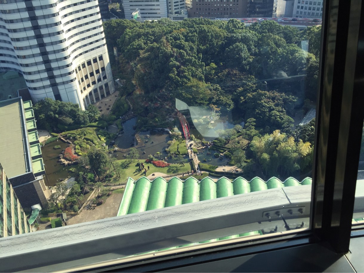 時が来ると下に日本庭園が見えてきます。