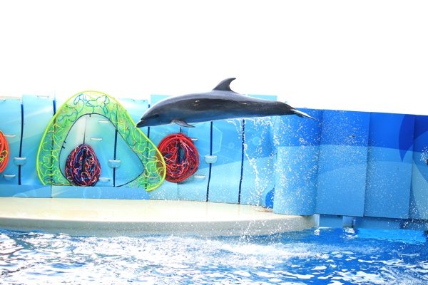 ジャンプ