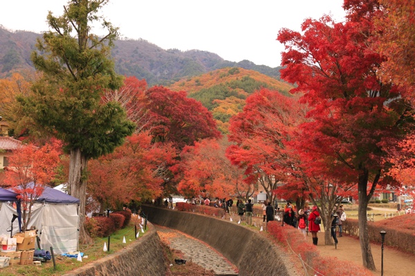 紅葉の先には