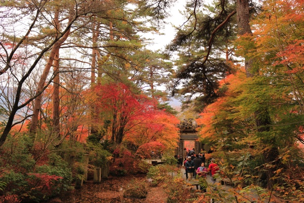紅葉満喫