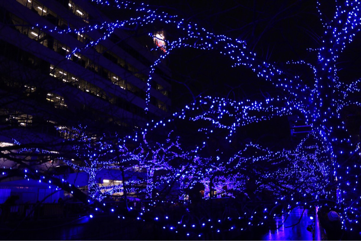 青の洞窟はじまり