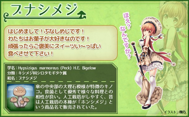ブナシメジ