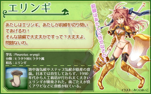 エリンギ