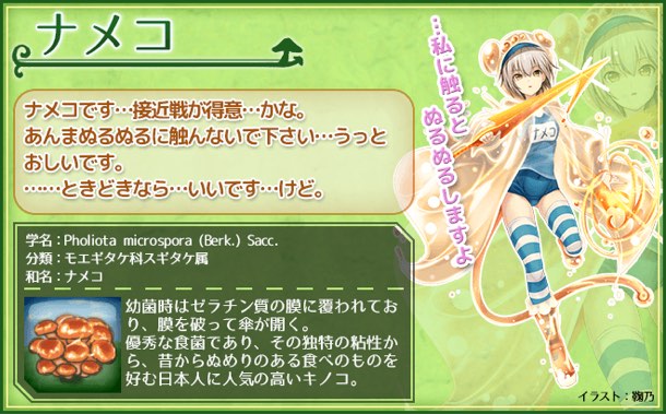 ナメコ