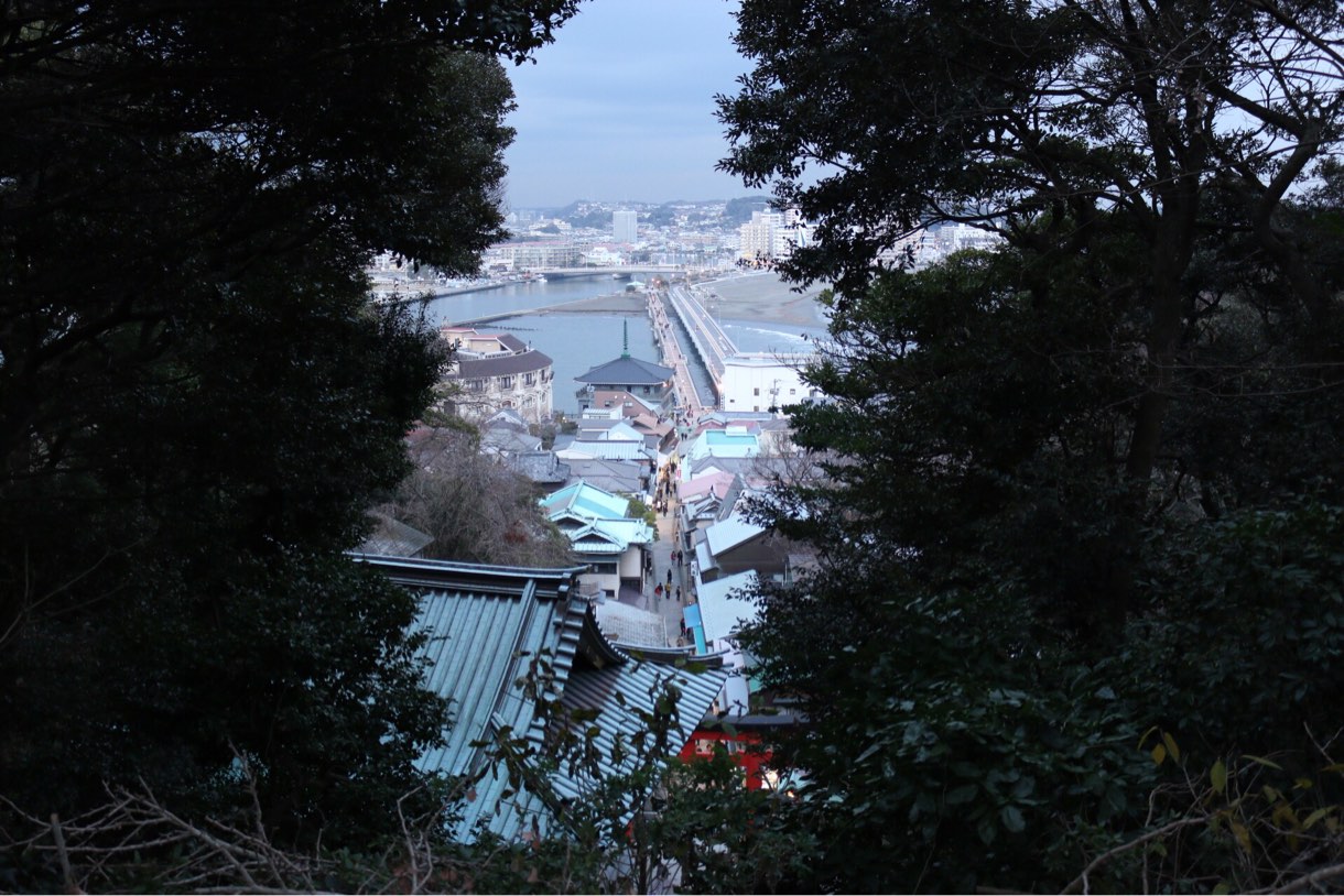 隙間から見える江ノ島