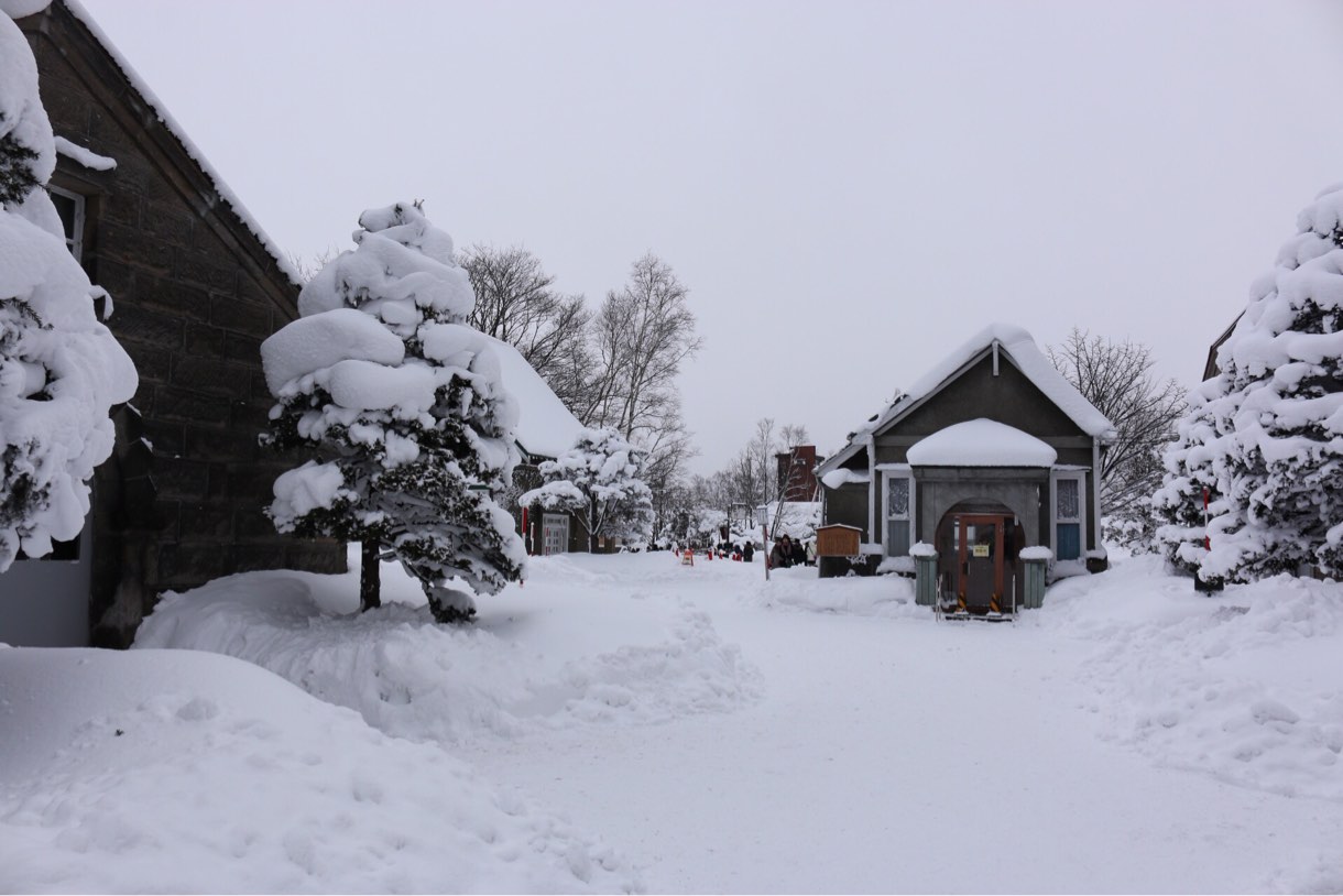 雪道の中を少し進むと…