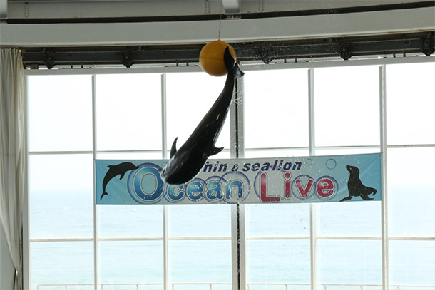 アクアワールド茨城県大洗水族館