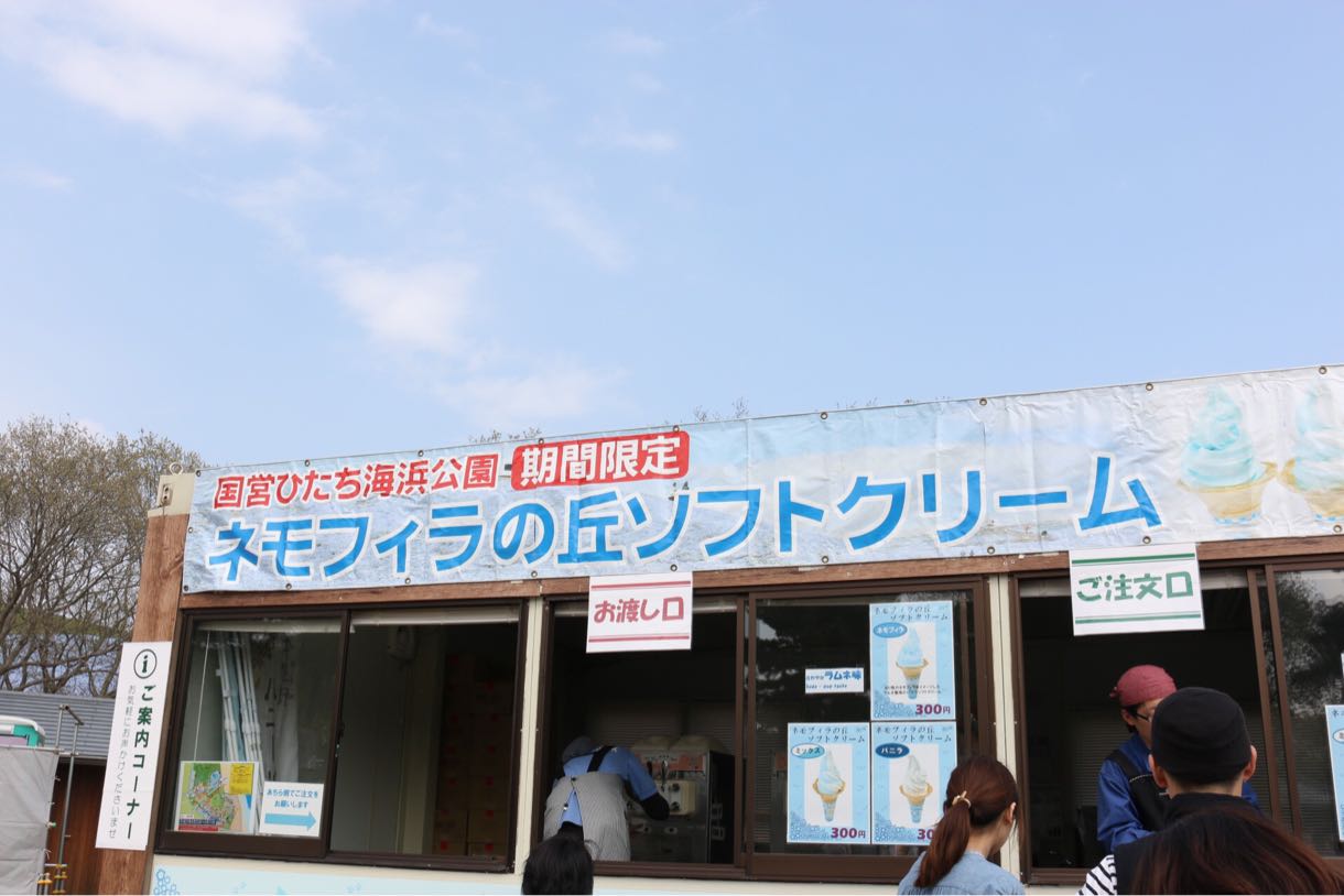 ネモフィラの丘ソフトクリーム