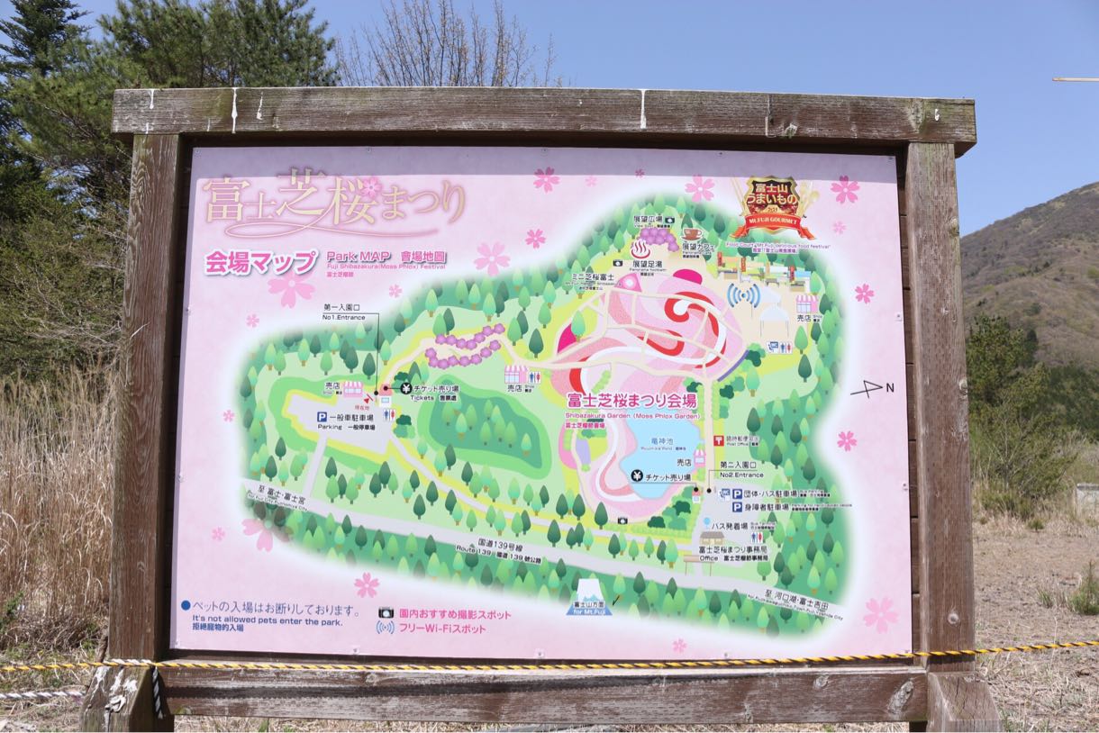 富士芝桜まつり 会場マップ
