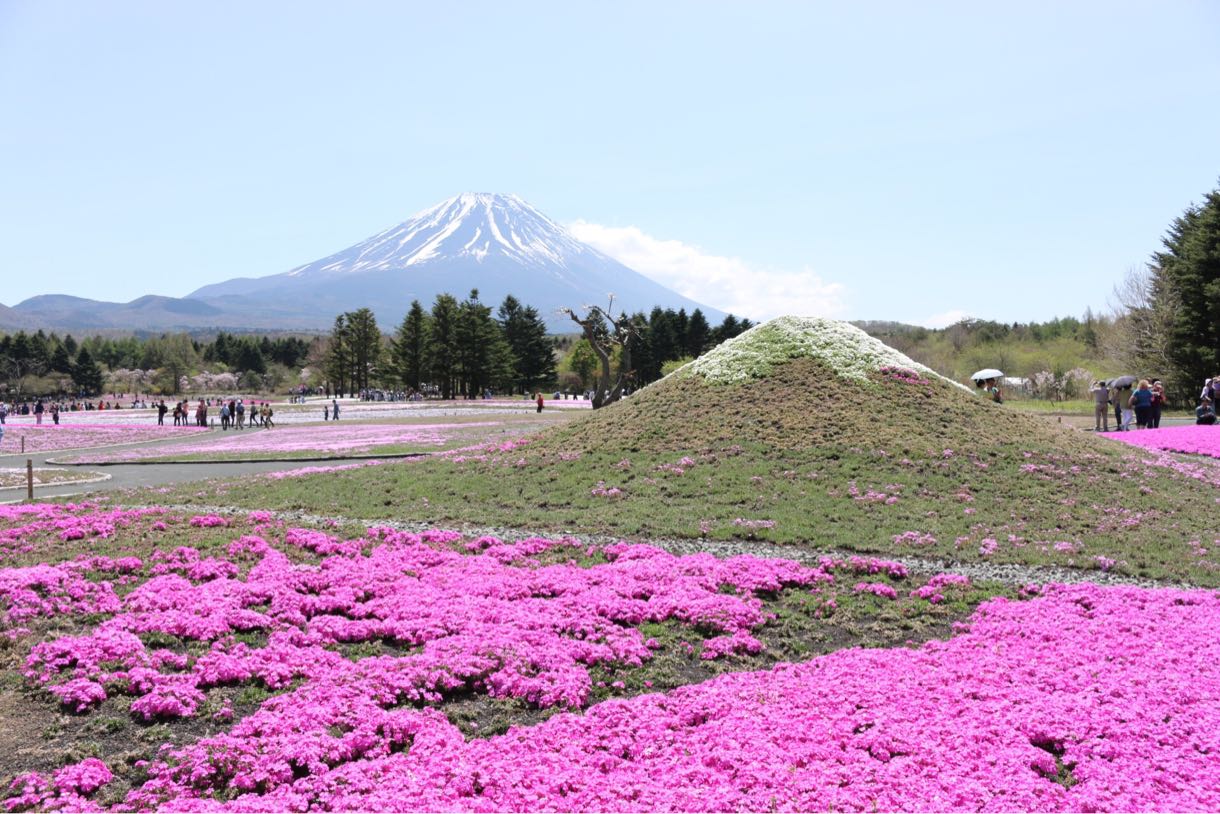 ダブル富士山