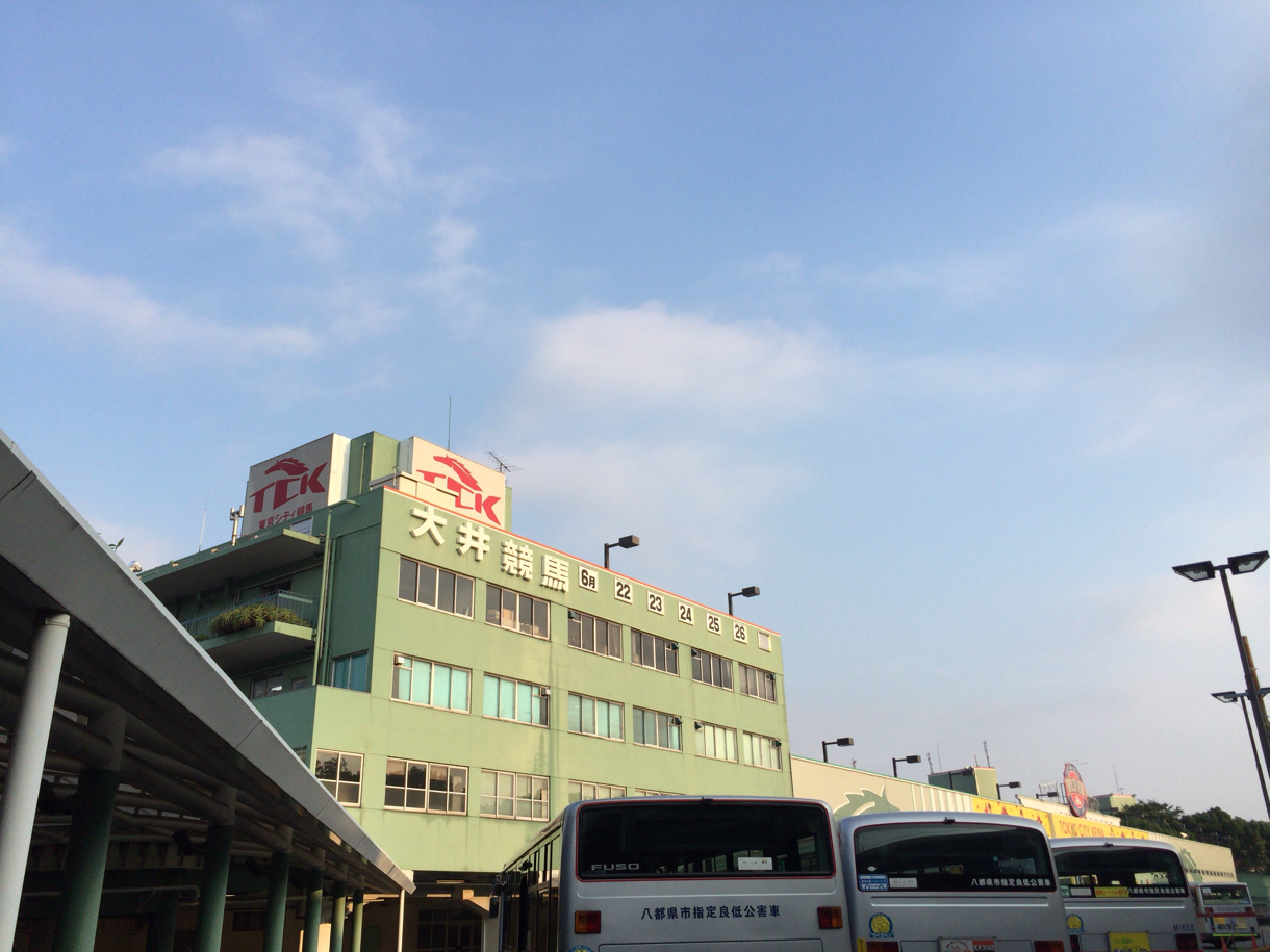 大井競馬場 ゴール