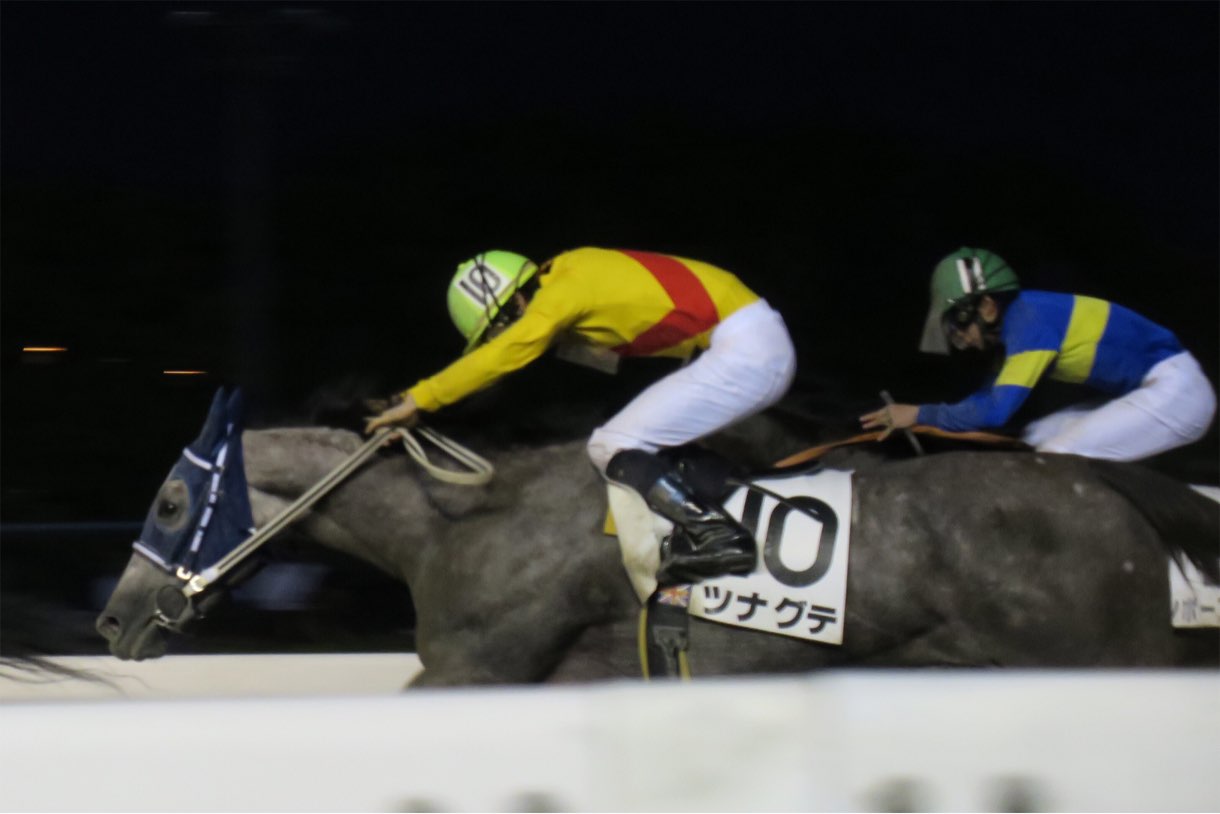 走っている馬の撮影