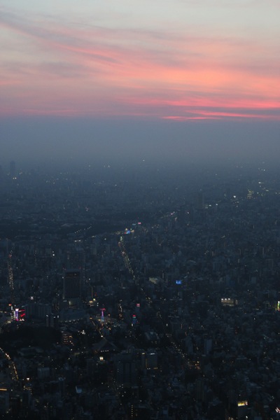 大都会を包み込む夕空