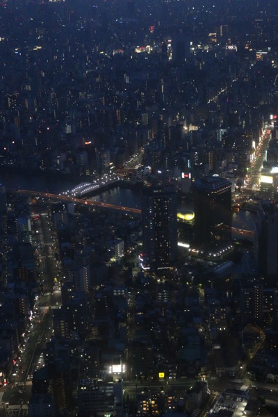 スカイツリーから見える大都会の夜景