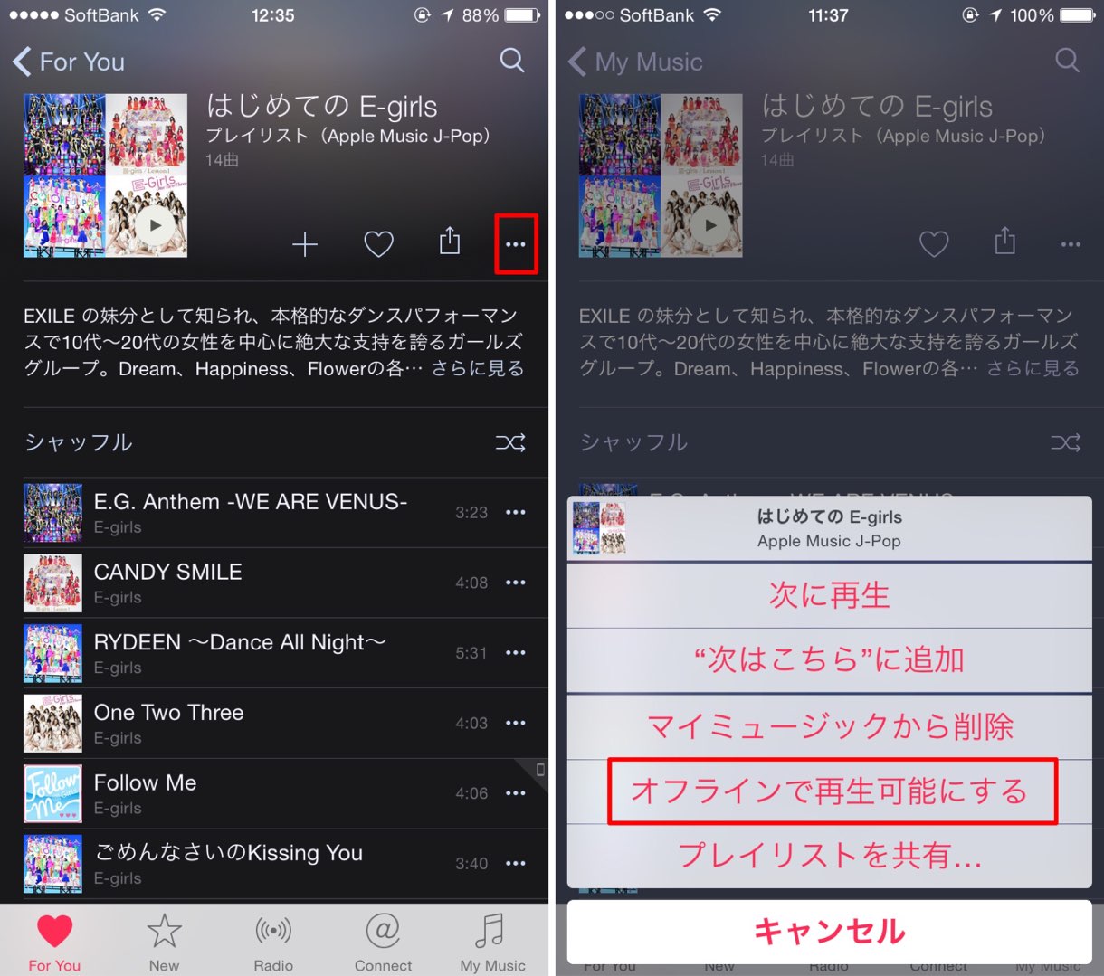 アルバムを丸ごとオフラインで再生可能にする