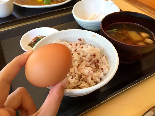 山梨県 おっぽに亭「こっこ」卵かけごはん
