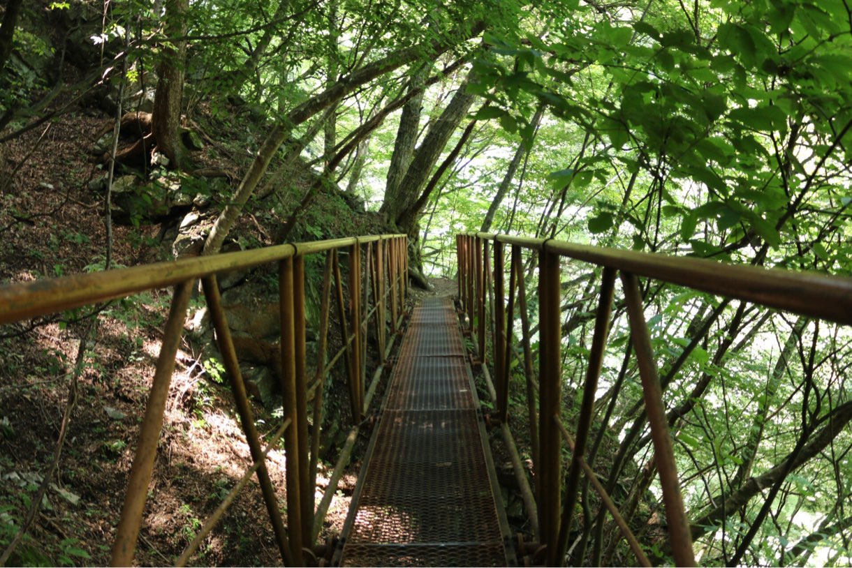 網目のつり橋