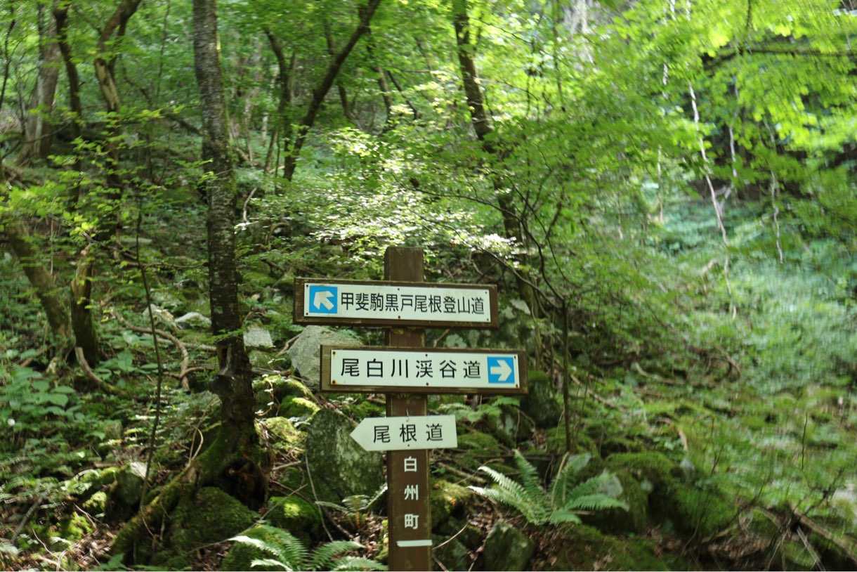 尾白川渓谷道と尾根道