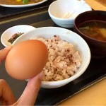 [Å] 山梨グルメ 卵かけごはん専門店「おっぽに亭 こっこ」の白州郷牧場育ちのTKG