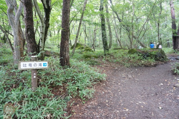吐竜の滝 入り口