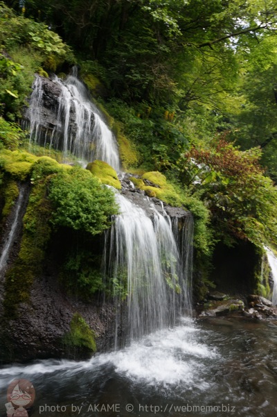 吐竜の滝 縦の写真