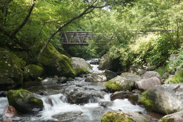 吐竜の滝 帰り道