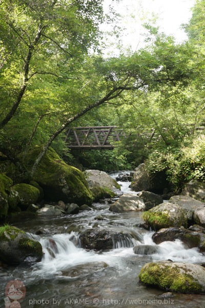吐竜の滝 帰り道