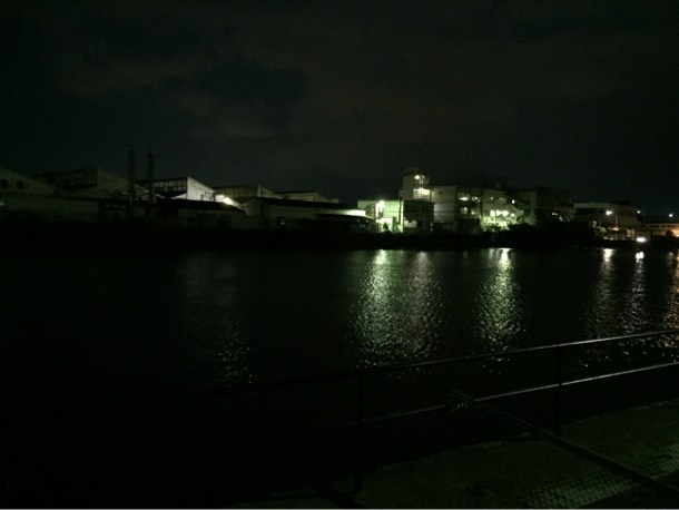 夜の野島公園