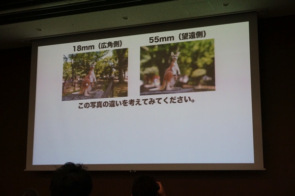 望遠写真と広角写真の比較
